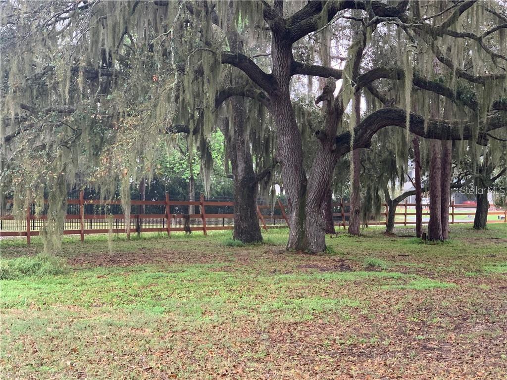 MARJORIE RD, ST CLOUD, FL — photo 3