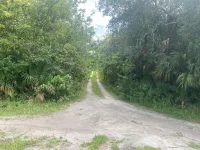 GRISSOM PKWY — photo 3