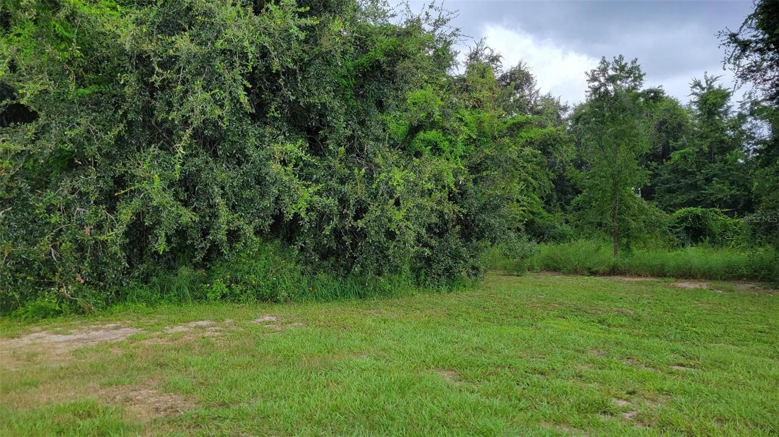 6641 WYNN LN, GROVELAND, FL — photo 3
