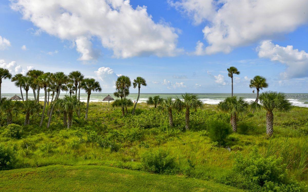 1485 GULF OF MEXICO DR #109, LONGBOAT KEY, FL — photo 41
