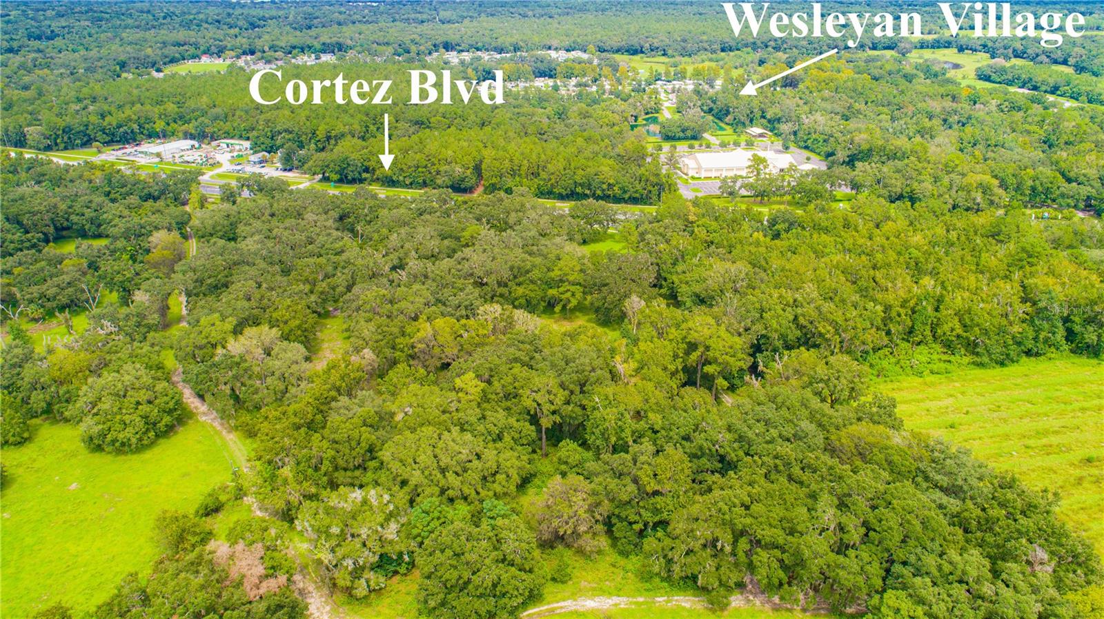 22374 CORTEZ BLVD, BROOKSVILLE, FL — photo 47