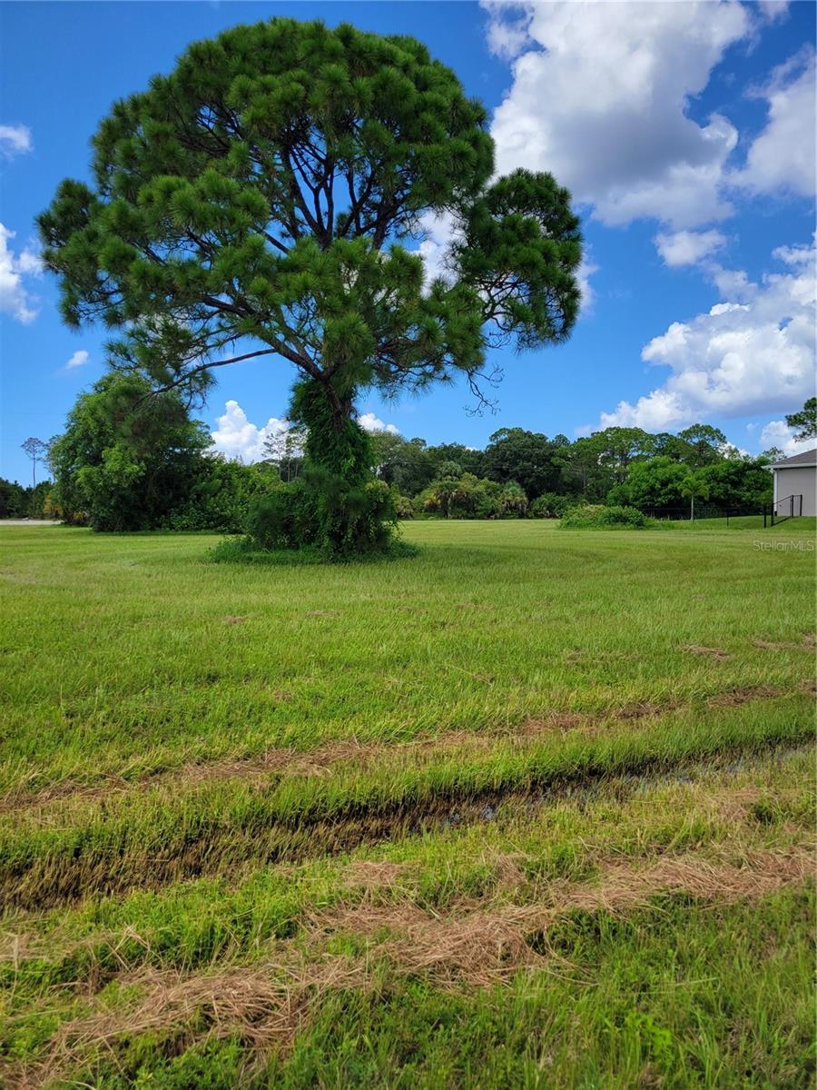 4142 NW 40TH AVE, CAPE CORAL, FL — photo 5