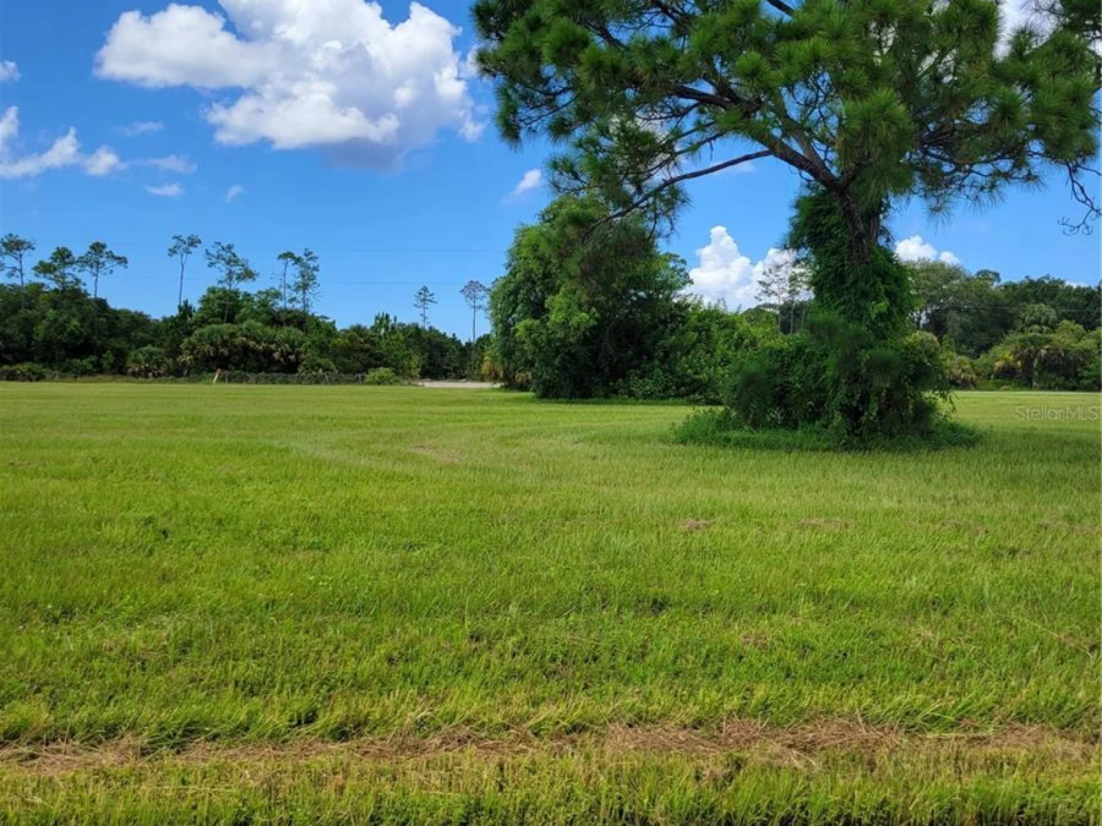 4142 NW 40TH AVE, CAPE CORAL, FL — photo 7