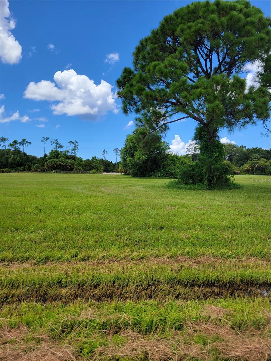 4142 NW 40TH AVE, CAPE CORAL, FL — photo 8