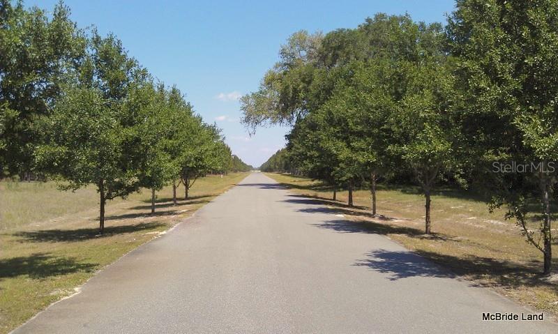 17001 SW HIGHWAY 484, DUNNELLON, FL — photo 2