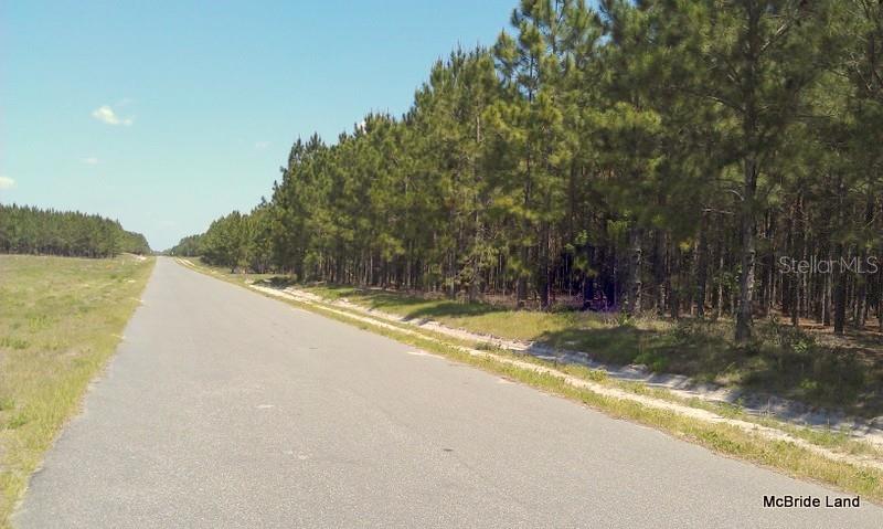 17001 SW HIGHWAY 484, DUNNELLON, FL — photo 3