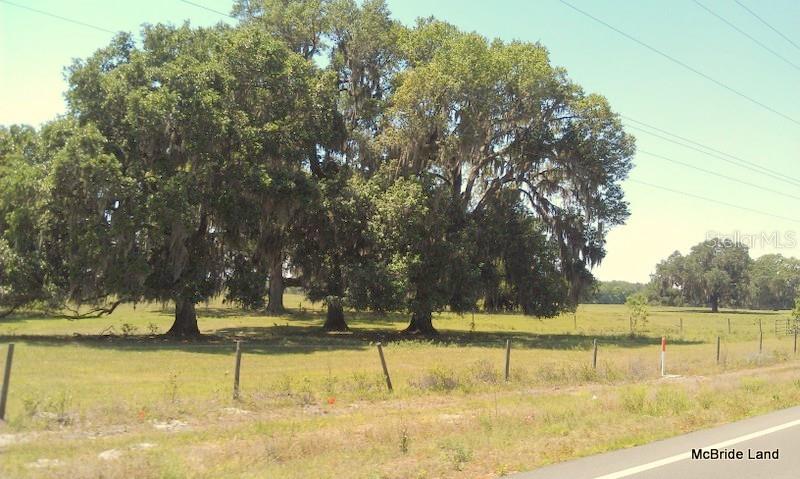 17001 SW HIGHWAY 484, DUNNELLON, FL — photo 4