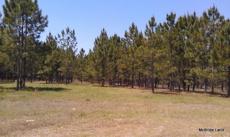 17001 SW HIGHWAY 484, DUNNELLON, FL — photo 12