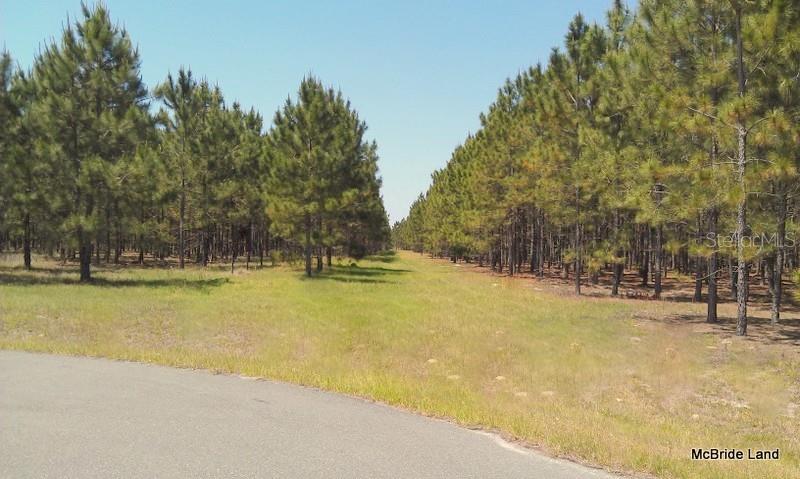 17001 SW HIGHWAY 484, DUNNELLON, FL — photo 13