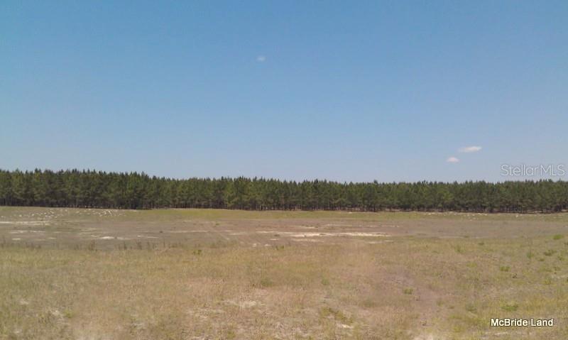 17001 SW HIGHWAY 484, DUNNELLON, FL — photo 14