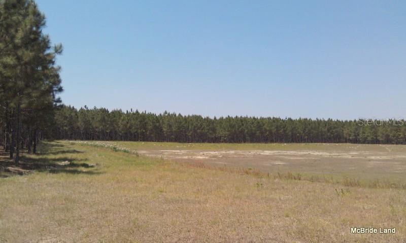 17001 SW HIGHWAY 484, DUNNELLON, FL — photo 15
