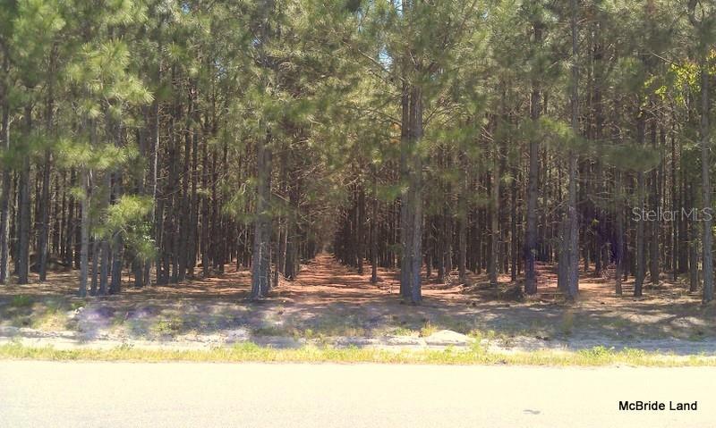 17001 SW HIGHWAY 484, DUNNELLON, FL — photo 16