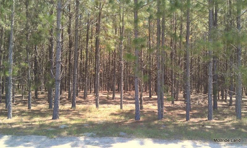 17001 SW HIGHWAY 484, DUNNELLON, FL — photo 17