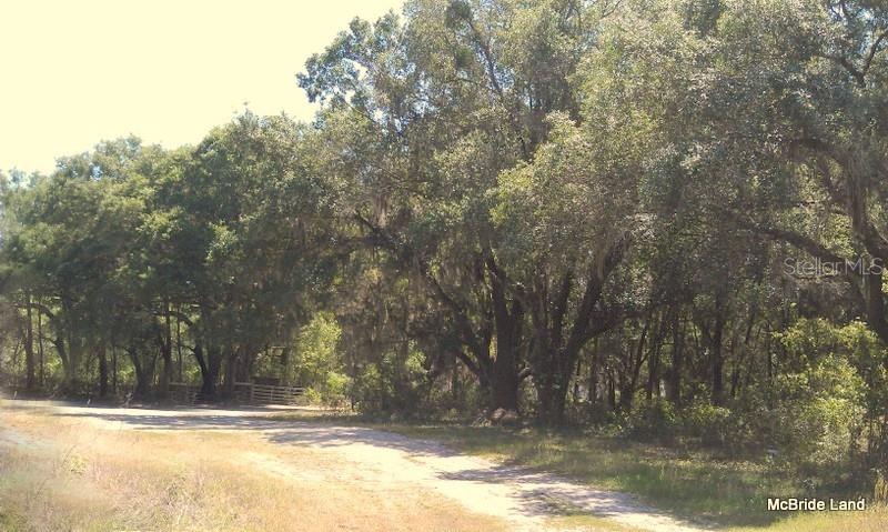 17001 SW HIGHWAY 484, DUNNELLON, FL — photo 18