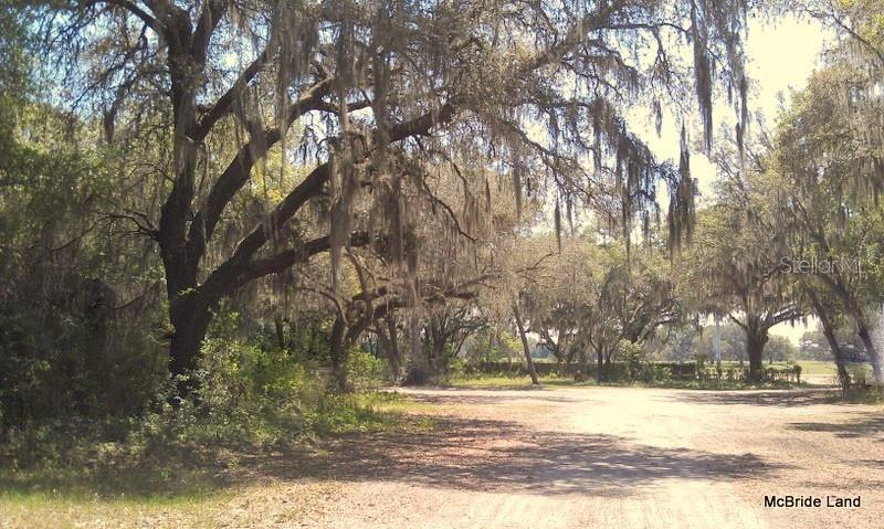 17001 SW HIGHWAY 484, DUNNELLON, FL — photo 19