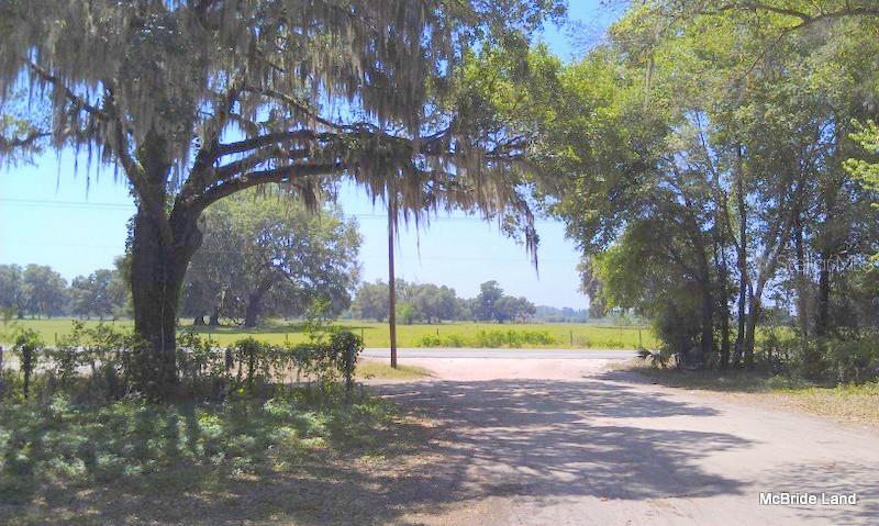 17001 SW HIGHWAY 484, DUNNELLON, FL — photo 20