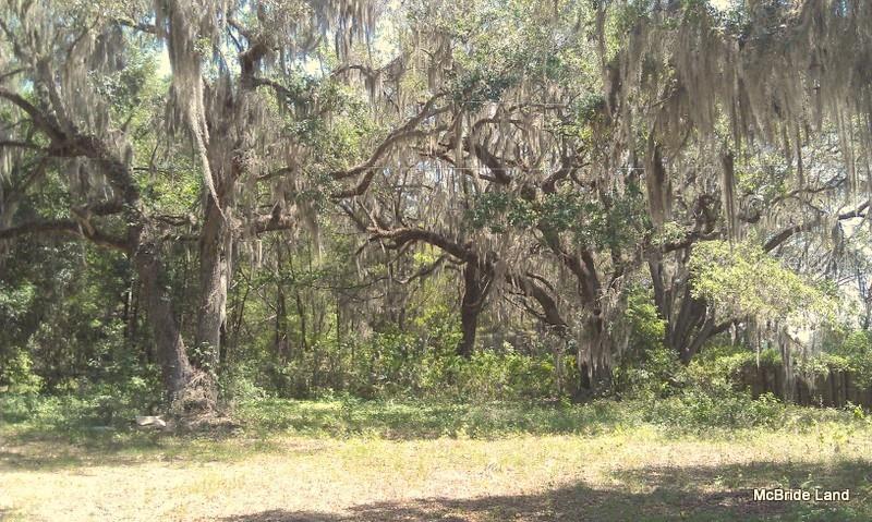 17001 SW HIGHWAY 484, DUNNELLON, FL — photo 23