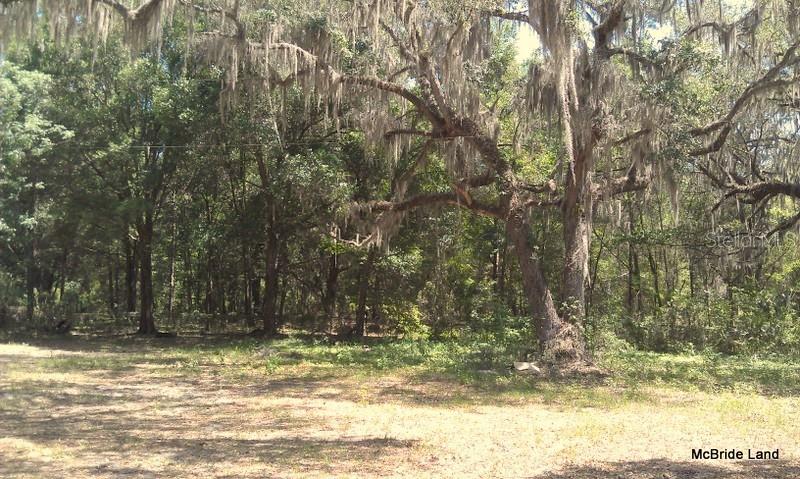 17001 SW HIGHWAY 484, DUNNELLON, FL — photo 24