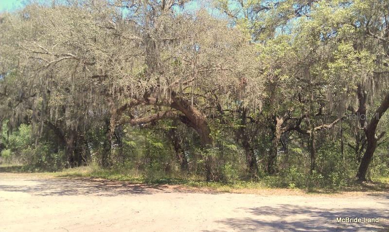 17001 SW HIGHWAY 484, DUNNELLON, FL — photo 26