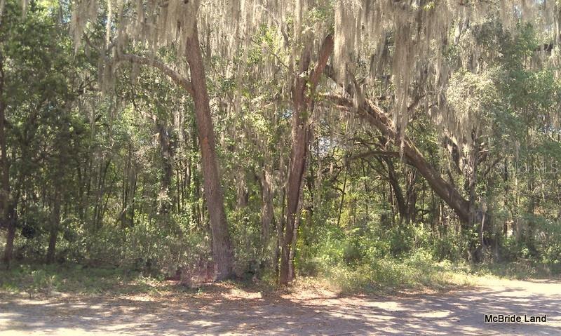 17001 SW HIGHWAY 484, DUNNELLON, FL — photo 27