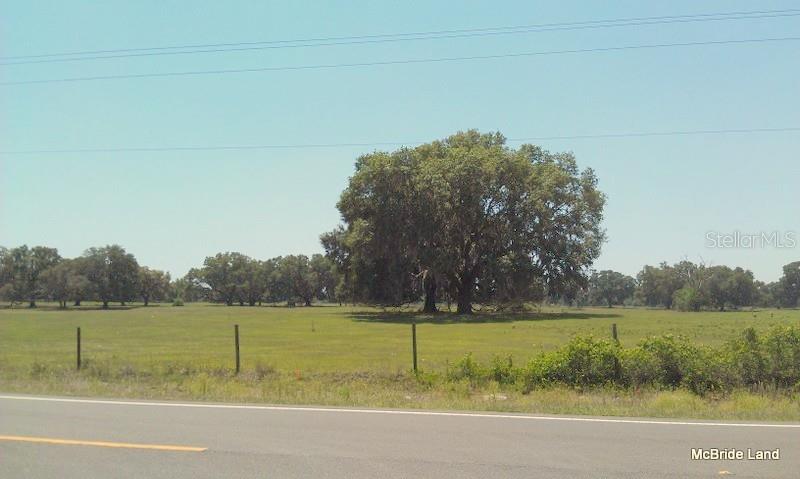 17001 SW HIGHWAY 484, DUNNELLON, FL — photo 29