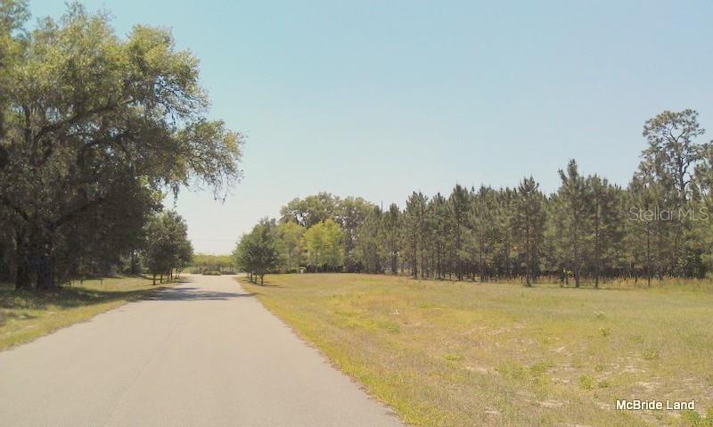 17001 SW HIGHWAY 484, DUNNELLON, FL — photo 34
