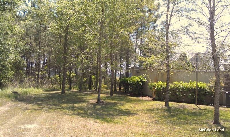 17001 SW HIGHWAY 484, DUNNELLON, FL — photo 37