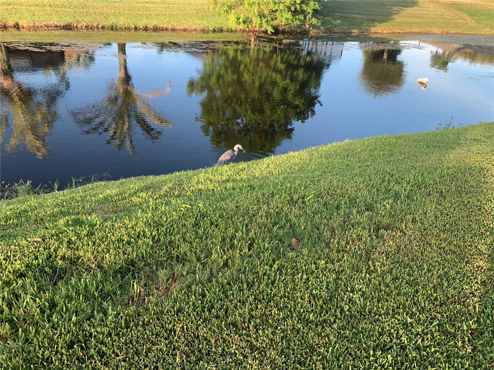 729 ROTONDA CIR, ROTONDA WEST, FL
