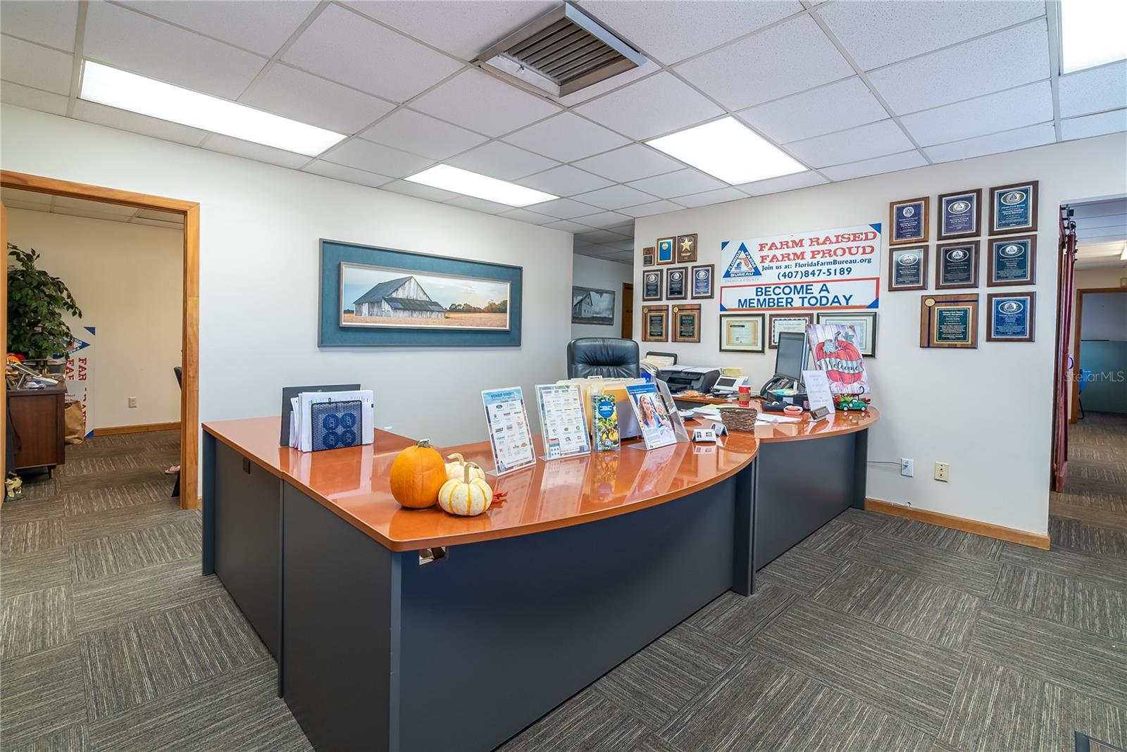 1680 IRLO BRONSON MEMORIAL HWY, KISSIMMEE, FL — photo 19