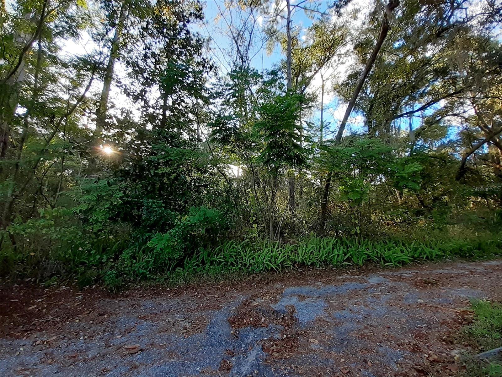 BLUE RIDGE AVE, ORANGE CITY, FL — photo 3