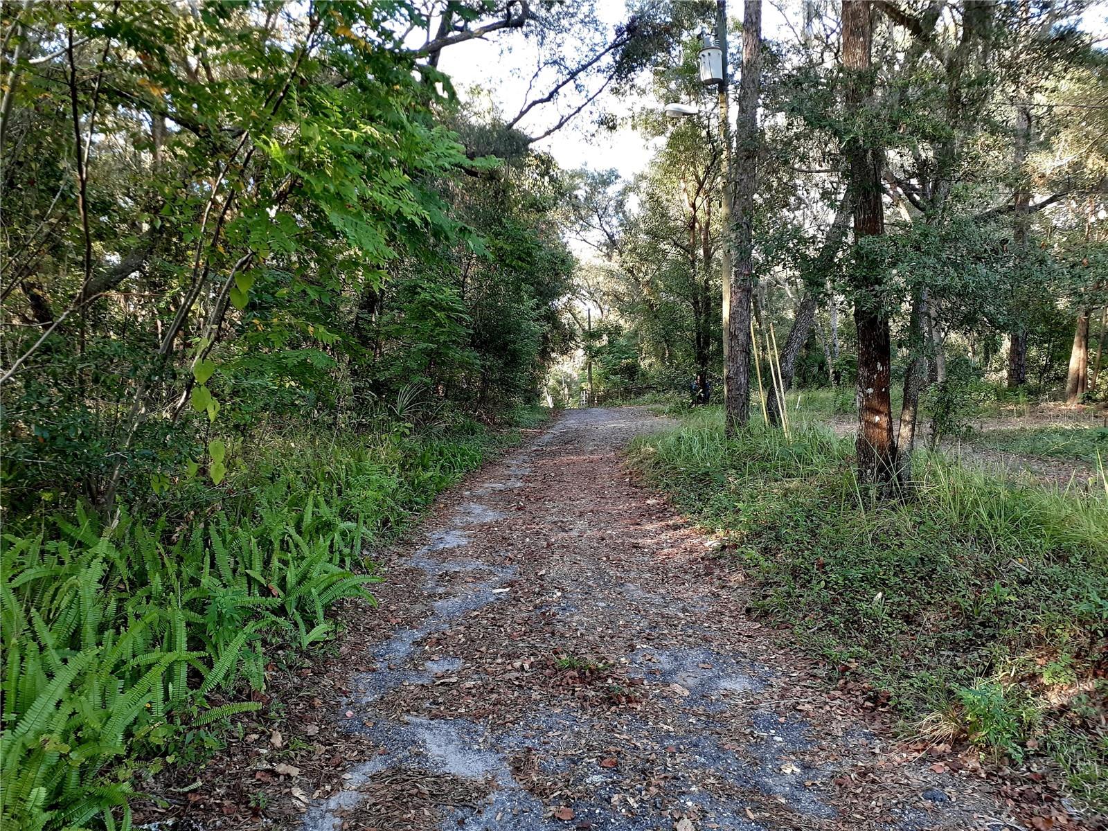 BLUE RIDGE AVE, ORANGE CITY, FL — photo 5