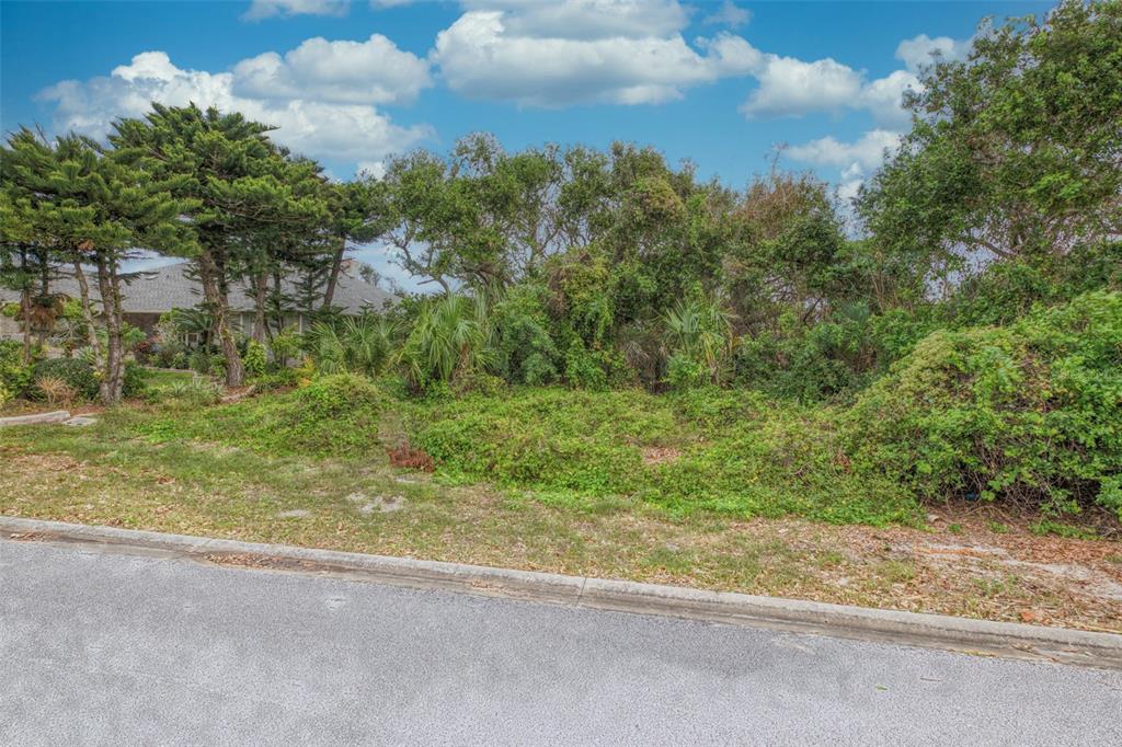 62 BUSCHMAN DR, PONCE INLET, FL — photo 6