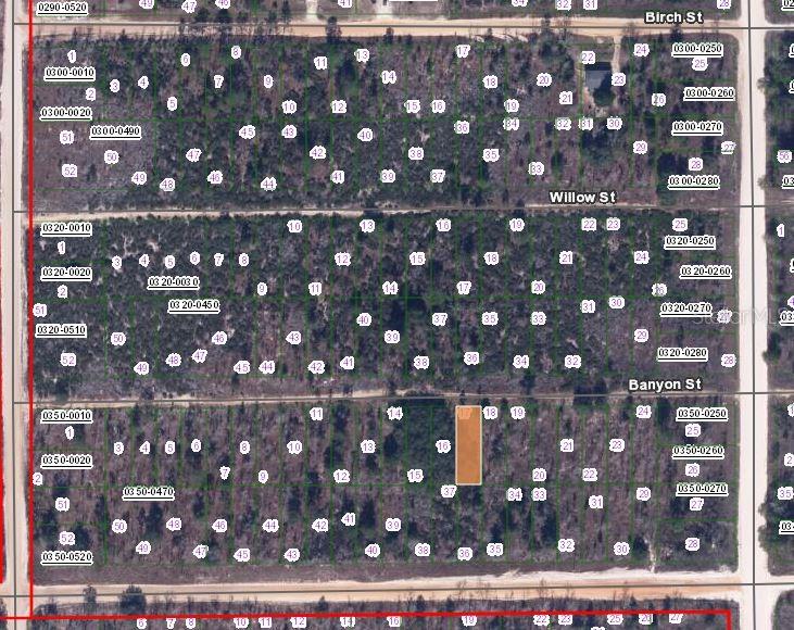 131 BANVON ST, INTERLACHEN, FL — photo 3