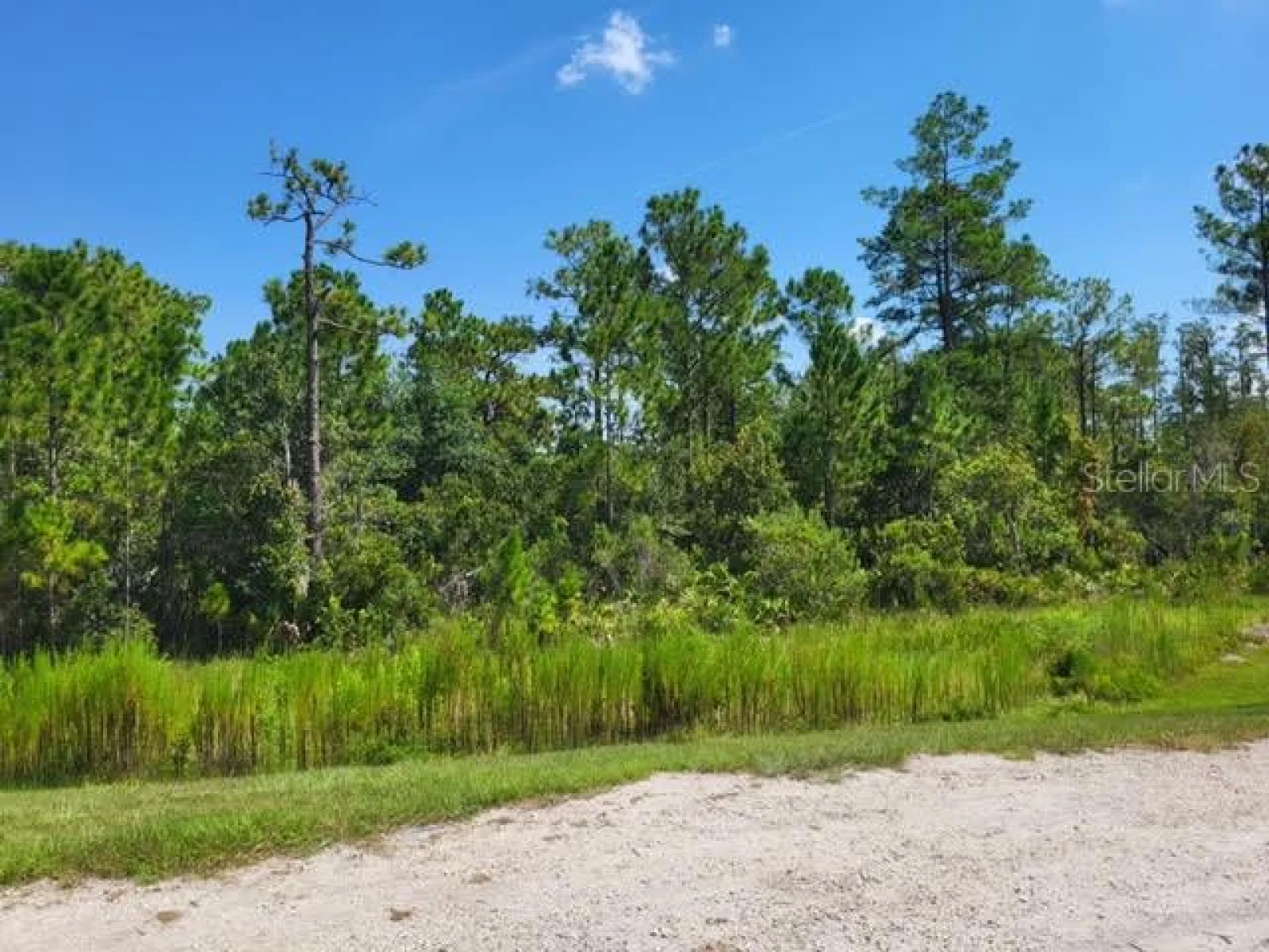 S APOPKA VINELAND, ORLANDO, FL — photo 16