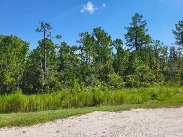 S APOPKA VINELAND, ORLANDO, FL — photo 15