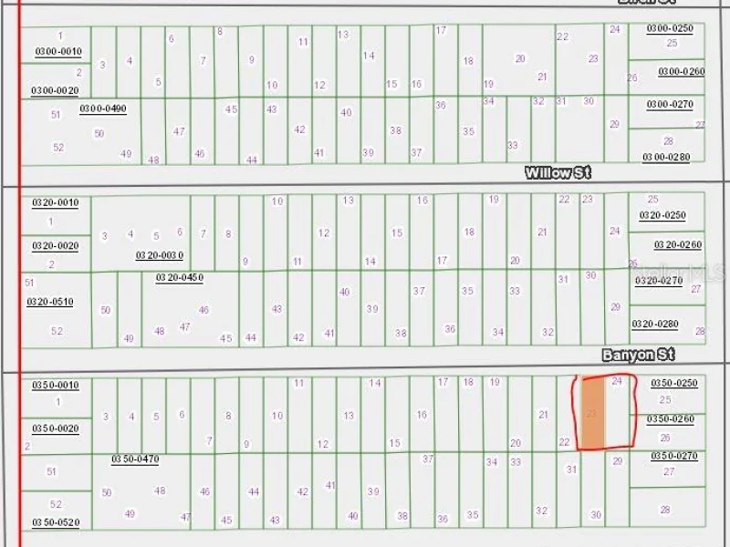00 BANVON ST, INTERLACHEN, FL