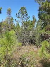SALYERS RD, CLERMONT, FL