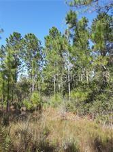 SALYERS RD, CLERMONT, FL — photo 7