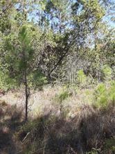 SALYERS RD, CLERMONT, FL — photo 11