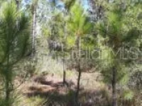 SALYERS RD — photo 4