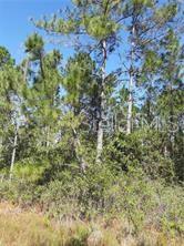 S FORK RANCH DR, CLERMONT, FL