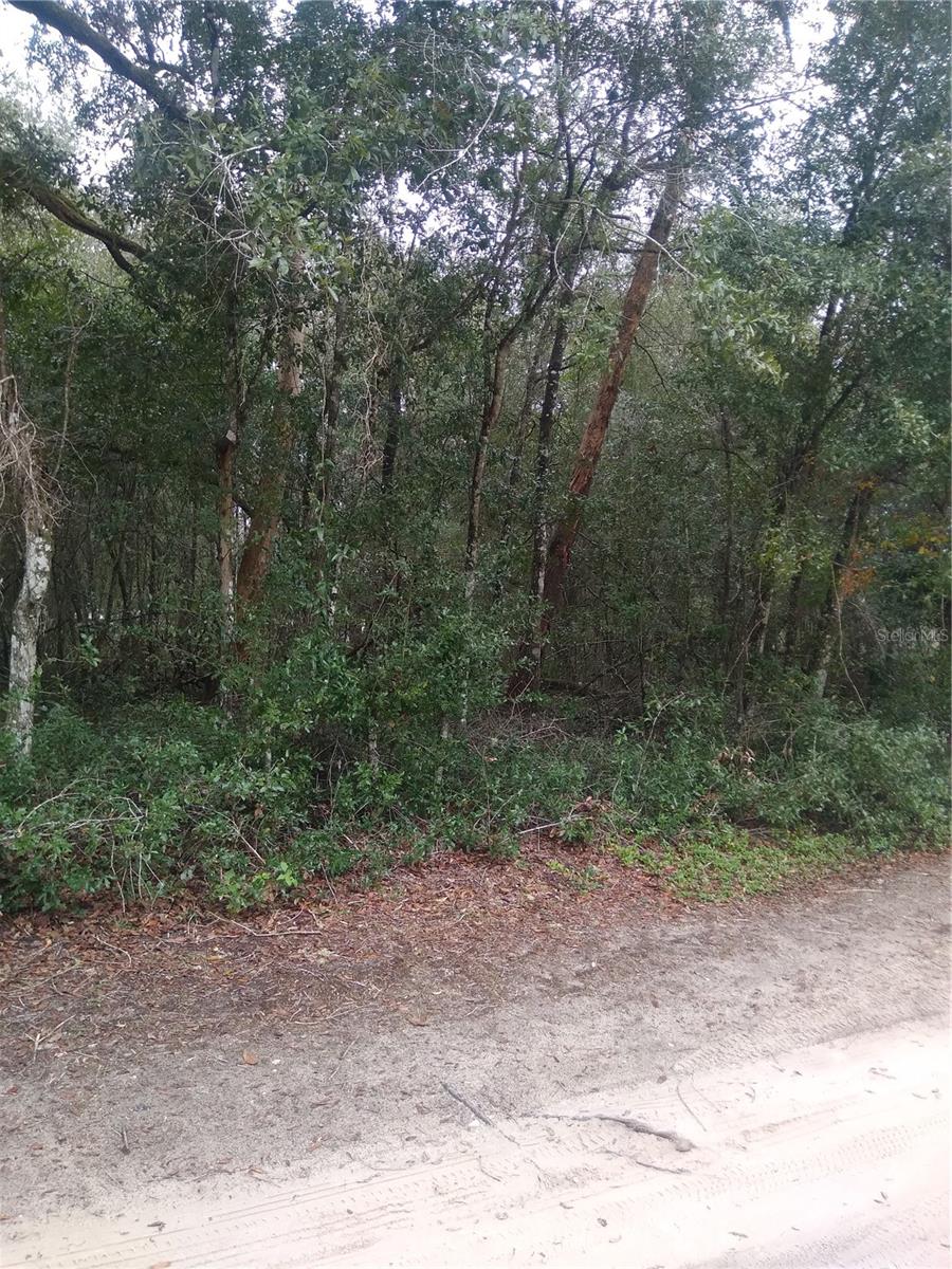 00 NE 147TH COURT, SILVER SPRINGS, FL — photo 5