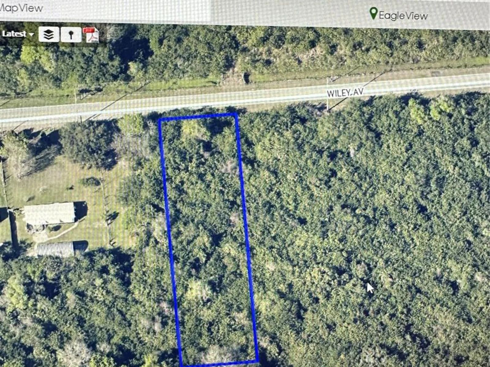WILEY AVE, MIMS, FL — photo 2