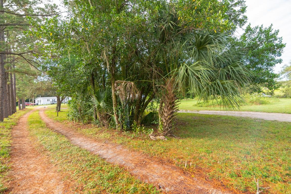 9358 HARNEY RD, THONOTOSASSA, FL — photo 3