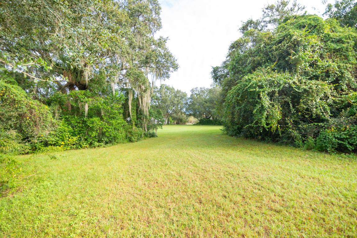 9358 HARNEY RD, THONOTOSASSA, FL — photo 5