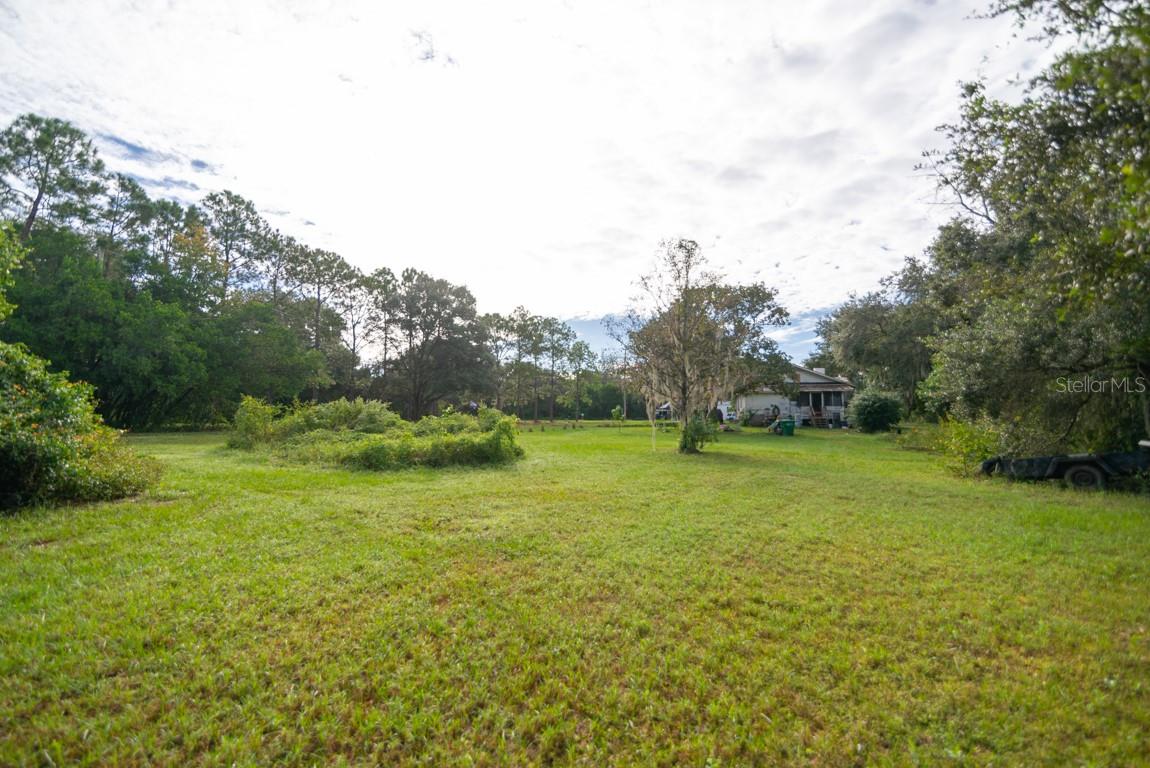9358 HARNEY RD, THONOTOSASSA, FL — photo 6