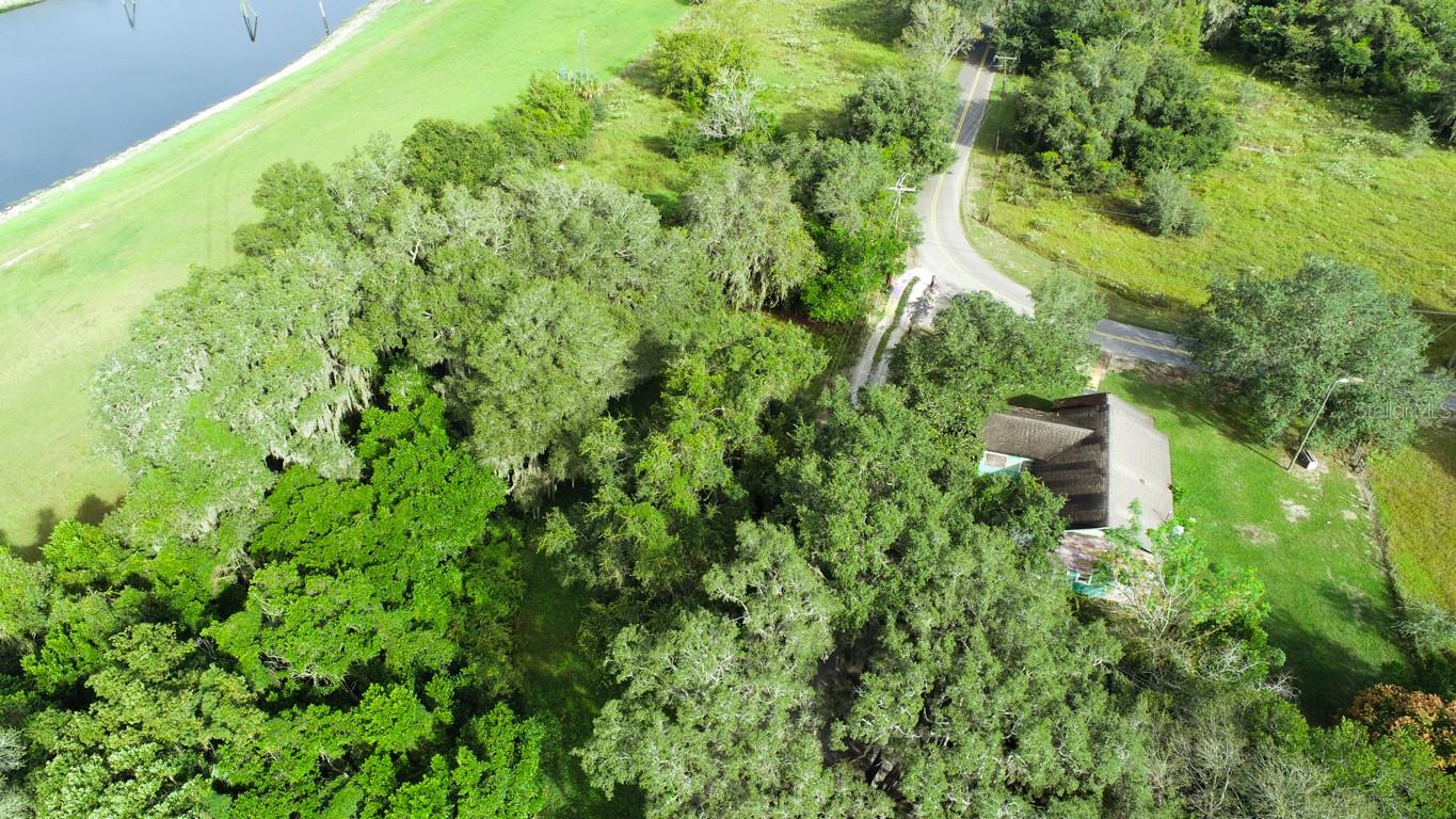 9358 HARNEY RD, THONOTOSASSA, FL — photo 17