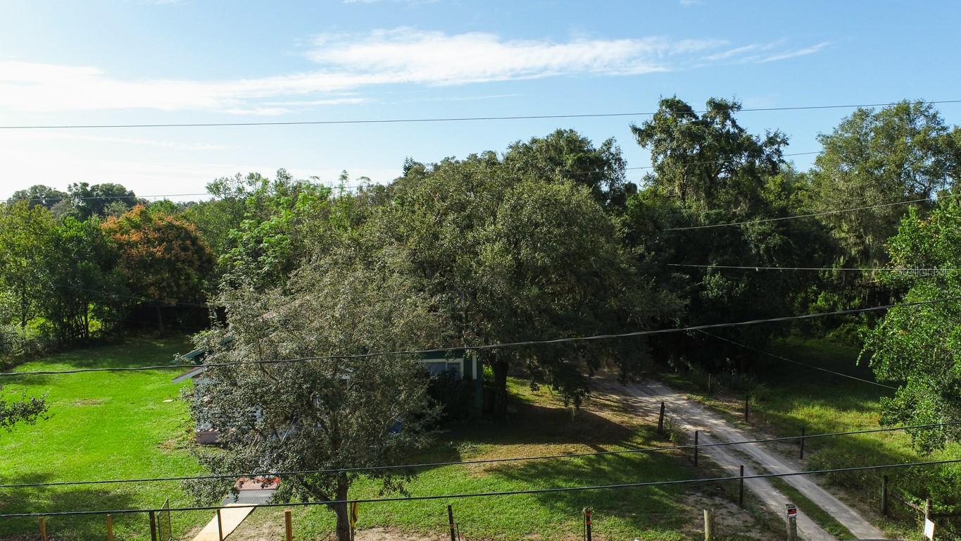9358 HARNEY RD, THONOTOSASSA, FL — photo 18