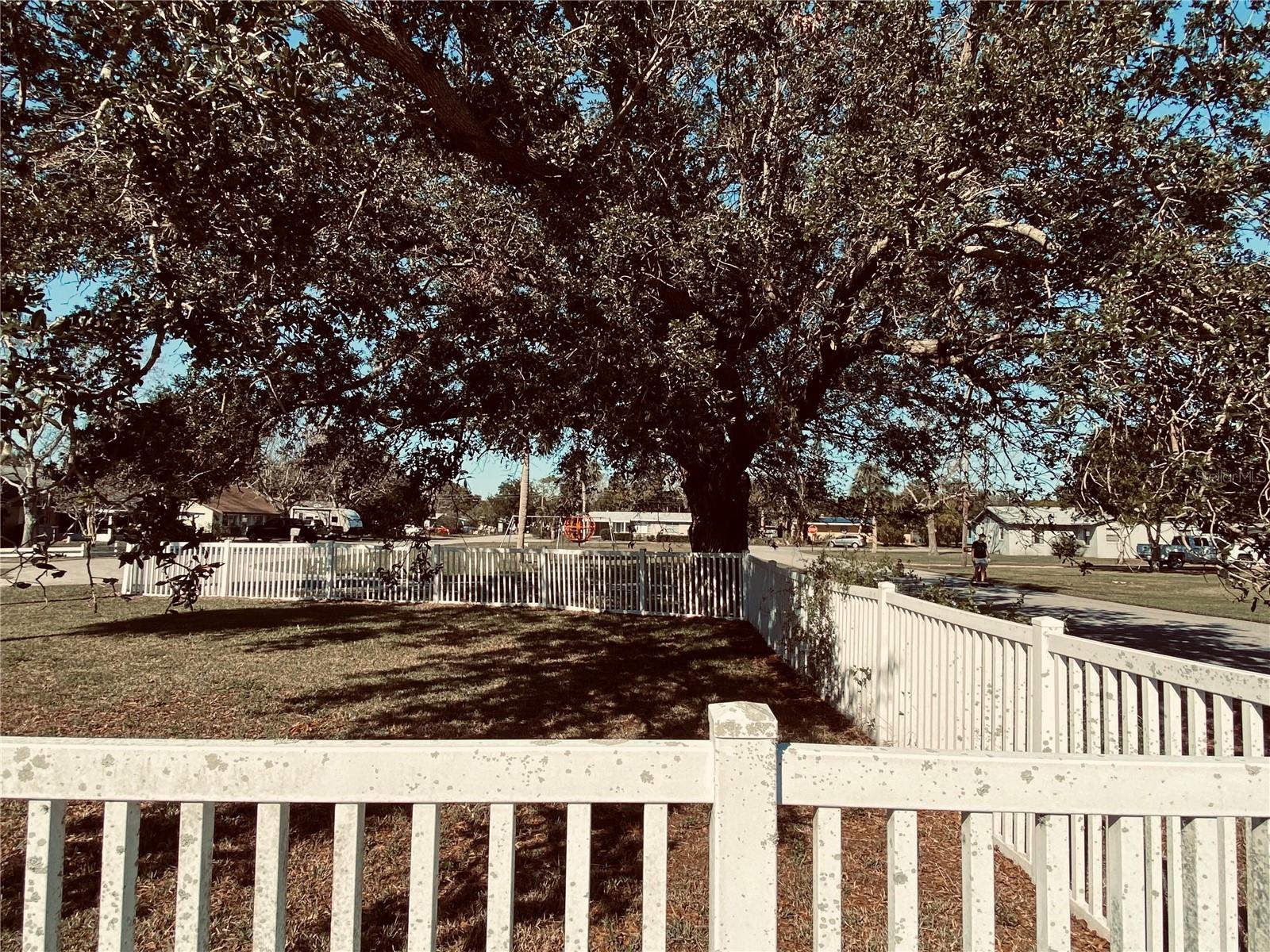 910 LAKE AVE, EDGEWATER, FL — photo 21