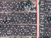 MAPLE DR — photo 4